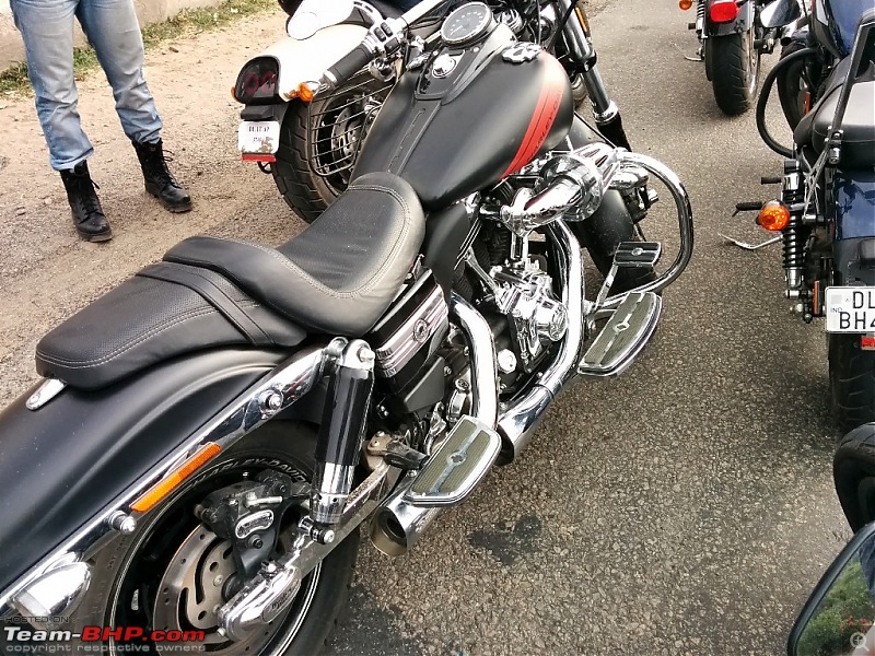 Harley Davidson Iron 883 - Beauty in the Beast-akro-exhaust.jpg