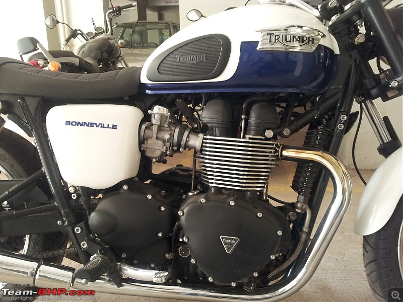 My 2014 Triumph Bonneville-bonneville4.jpg