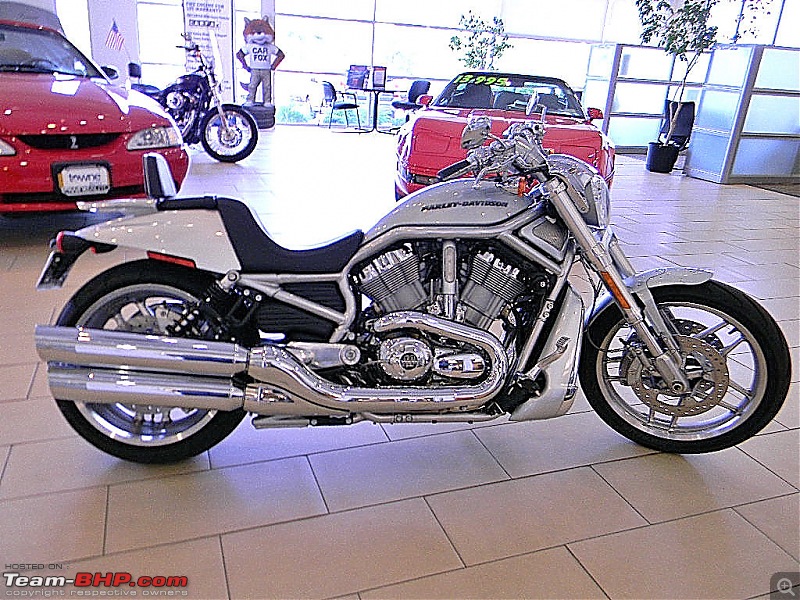 The Cure is Here: My Harley Davidson V-Rod - 10th AE-image_23.jpg
