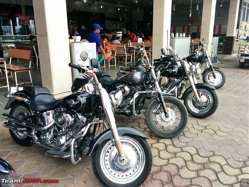 Harley Davidson Iron 883 - Beauty in the Beast-murthal-3.jpg