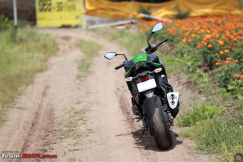 My Mean Green 2015 Kawasaki Z800-img_0903_small.jpg