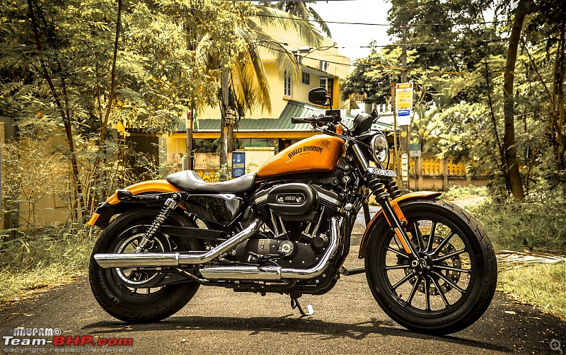 TheStig on two wheels! 2014 Amber Whiskey Harley Iron 883 comes home...-dsc_0015.jpg