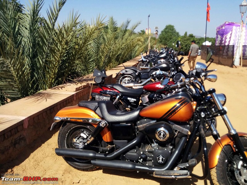 Harley Davidson Superlow XL883L - The Comprehensive Review-nhr-pushkar-79th-nov-2014_19.jpg