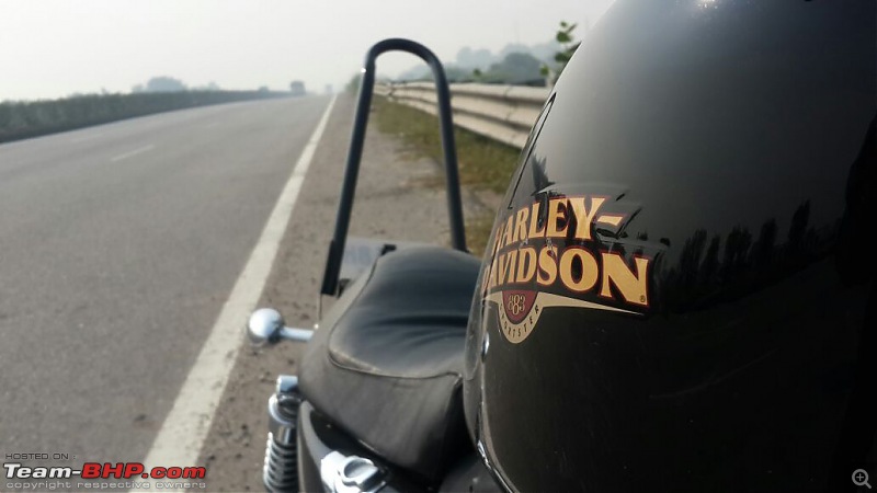 Harley Davidson Superlow XL883L - The Comprehensive Review-nhr-pushkar-79th-nov-2014_28.jpg