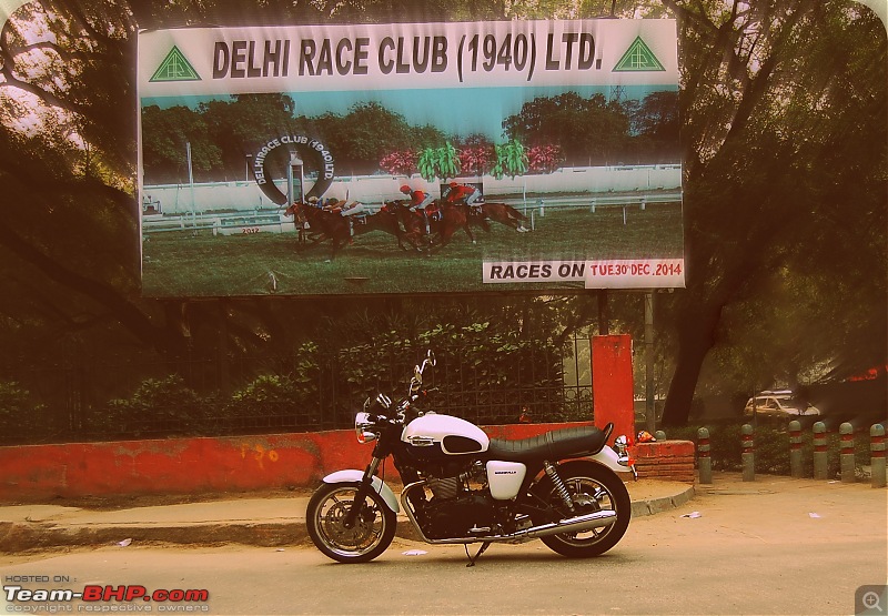 Triumph Bonneville - El Caballo Blanco rides home-dsc_0275.jpg