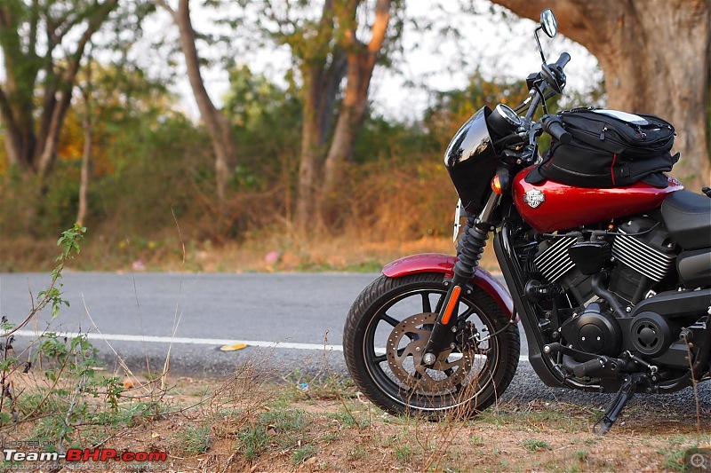 My Red Baron  Harley Davidson Street 750. EDIT: Sold!-anchetty-2.jpg