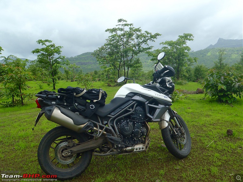 Triumph Tiger XRx : 6000 km ownership review!-tiger-wilderness-1-1.jpg