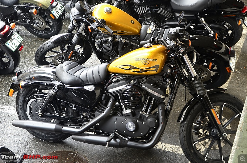 Riding Harley-Davidsons in Japan - Street 750, Forty-Eight and Iron 883-_dsc2580.jpg