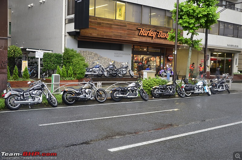 Riding Harley-Davidsons in Japan - Street 750, Forty-Eight and Iron 883-_dsc2637.jpg