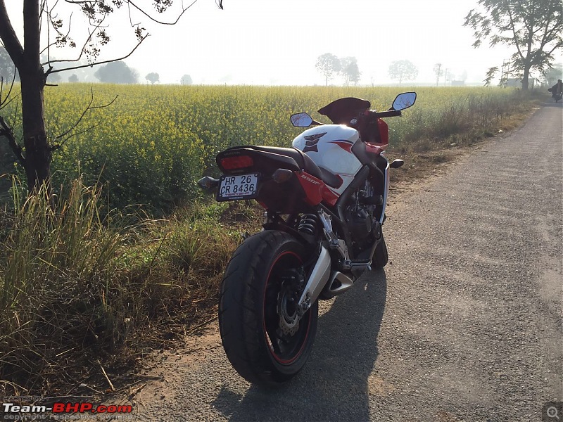 A dream come true - My Honda CBR650F. EDIT: Track Day at BIC on page 12-img20160322wa0019.jpg