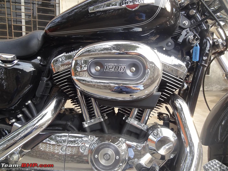 Ridden: Harley-Davidson Sportster 1200 Custom-dsc08912-large.jpg