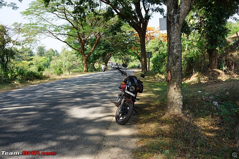 My Red Baron  Harley Davidson Street 750. EDIT: Sold!-dsc00574.jpg