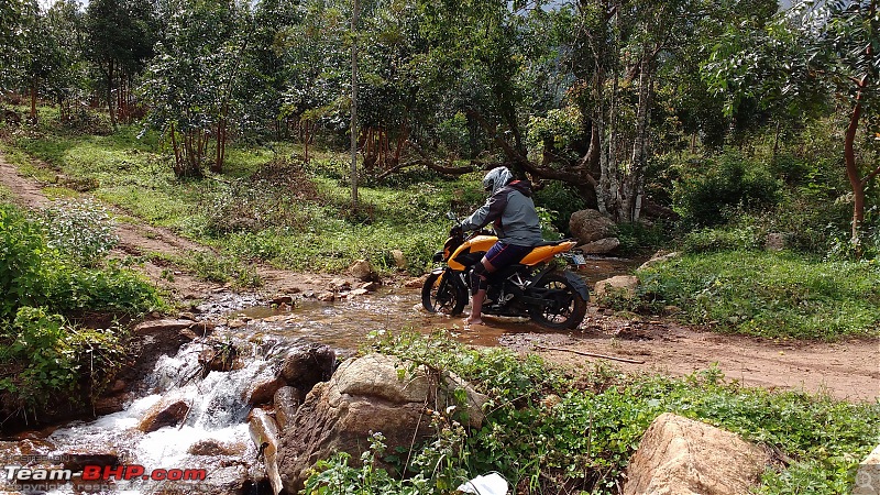 Kawasaki Versys 650 launched at Rs. 6.6 lakh-15.jpg