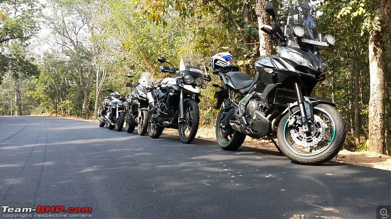 Kawasaki Versys 650: The good times with my 'Dark Knight' begin. EDIT: SOLD!-jungle-lineup-2.jpg