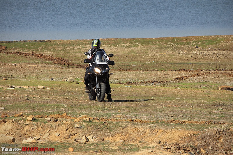 One bike to tame them all! 'Black Panther' - My Kawasaki Versys 650. Edit: Now sold!-img_4472_800.jpg