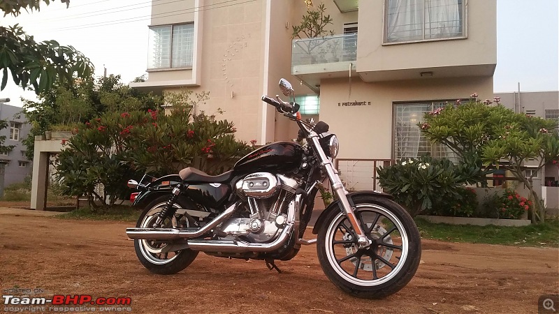 My pre-owned Harley Davidson Superlow XL883L-bike-single-seat.jpg