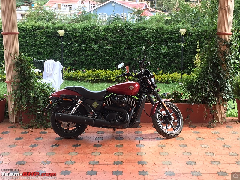 My Red Baron  Harley Davidson Street 750. EDIT: Sold!-bouganvilla-resort-2.jpeg