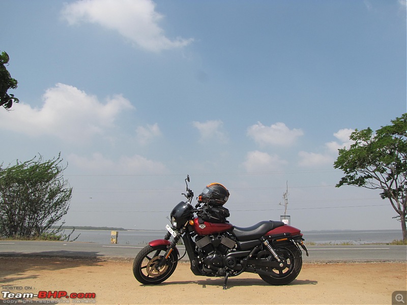 My Red Baron  Harley Davidson Street 750. EDIT: Sold!-img_9088.jpg