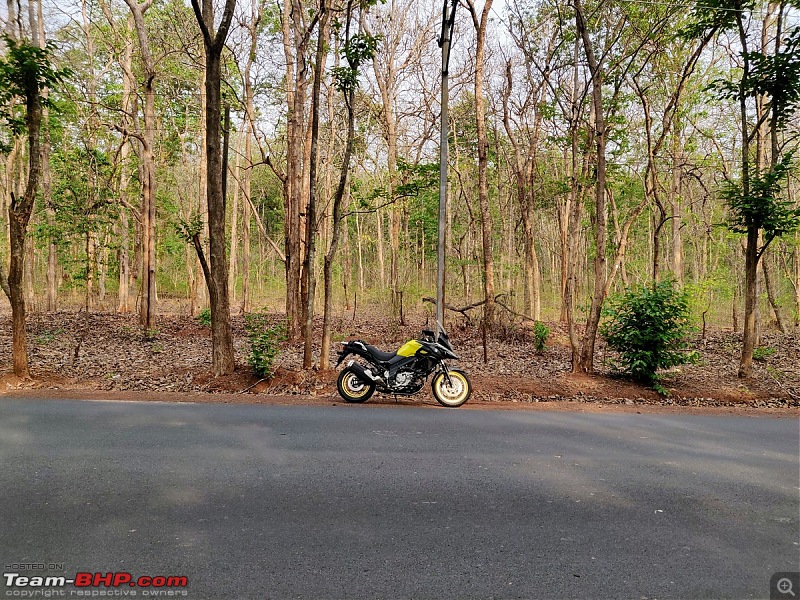 My Suzuki V-Strom 650 | Now 70,000 kms up-vnh631.jpg