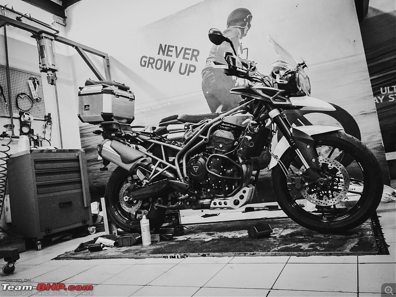 Hobbes, my 2015 Triumph Tiger 800 XRX | EDIT: Now sold-psx_20191015_223923.jpg