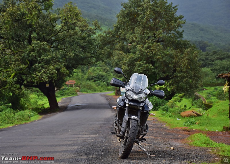 Dreams do come true : 5 years & 30000 kms with my Triumph Tiger 800 XR-dsc_0653.jpg