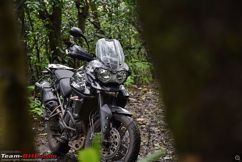 Dreams do come true : 5 years & 30000 kms with my Triumph Tiger 800 XR-dsc_0811.jpg