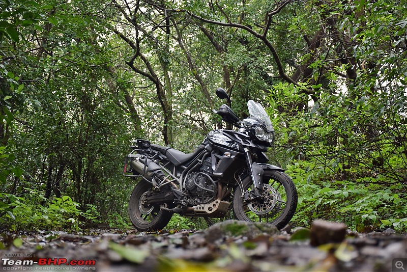 Dreams do come true : 5 years & 30000 kms with my Triumph Tiger 800 XR-dsc_0821.jpg