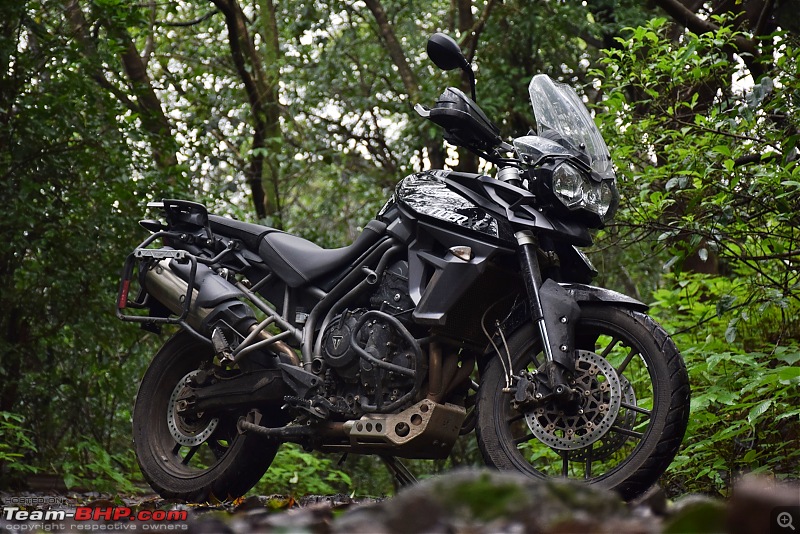 Dreams do come true : 5 years & 30000 kms with my Triumph Tiger 800 XR-dsc_0822.jpg