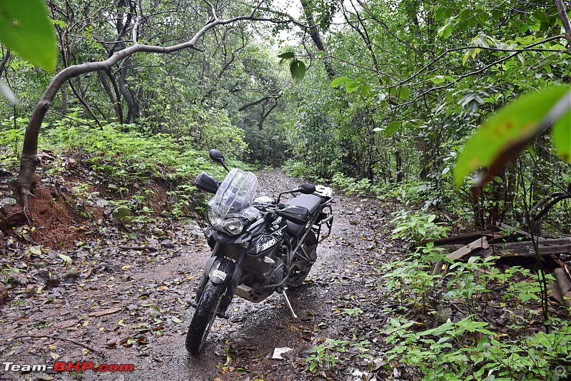 Dreams do come true : 5 years & 30000 kms with my Triumph Tiger 800 XR-dsc_0843.jpg