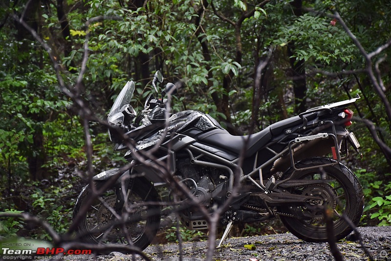 Dreams do come true : 5 years & 30000 kms with my Triumph Tiger 800 XR-dsc_0848.jpg