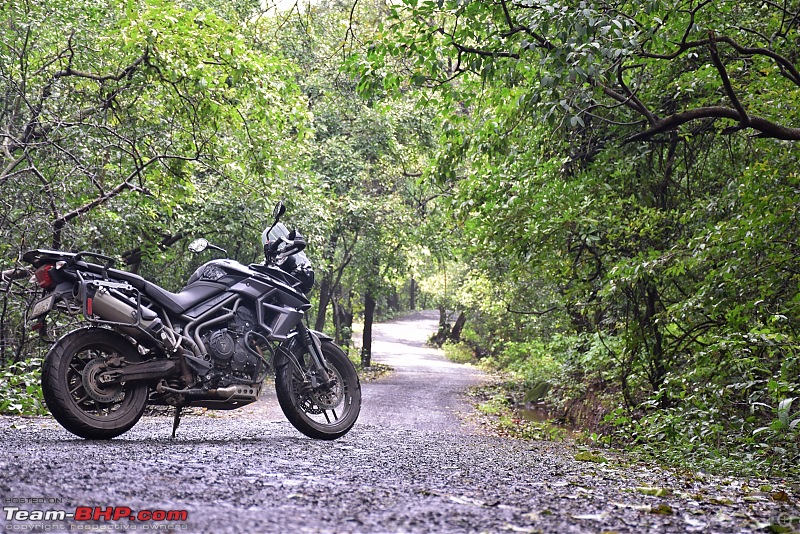 Dreams do come true : 5 years & 30000 kms with my Triumph Tiger 800 XR-dsc_0864.jpg