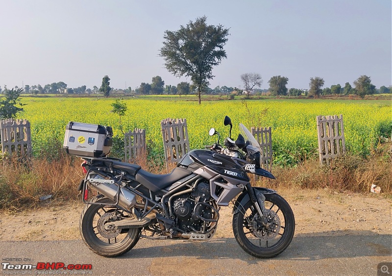 Dreams do come true : 5 years & 30000 kms with my Triumph Tiger 800 XR-img_20191201_151902.jpg