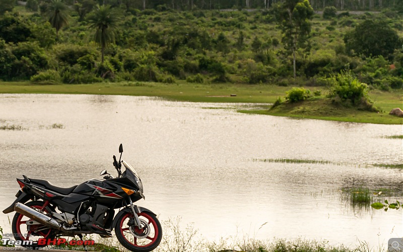 My Silk White Ducati Multistrada 950 - One bike for many roads-dsc_0379.jpg