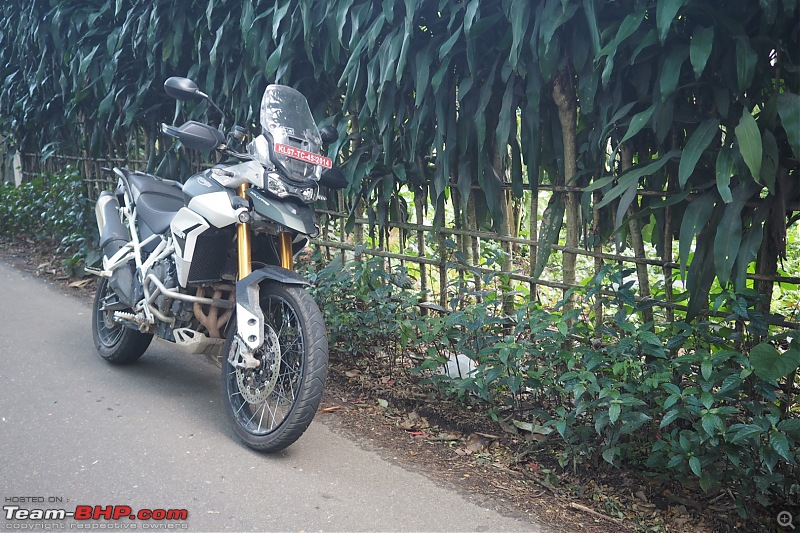 Triumph Tiger 900 Rally Pro - A Close Look-13.jpg