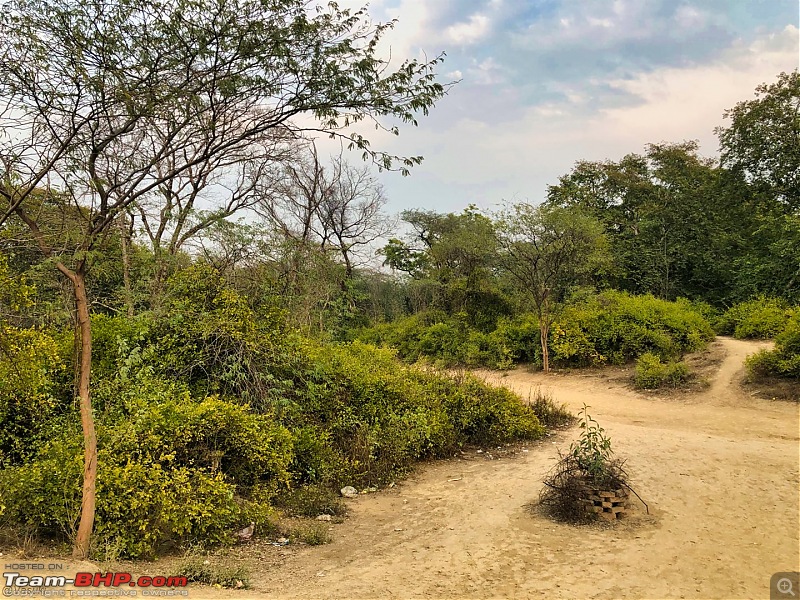 Beaky flies to Rajasthan via Uttarakhand - A Travelogue on my Suzuki V-Strom 650 XT-09.jpg