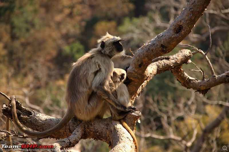 Beaky flies to Rajasthan via Uttarakhand - A Travelogue on my Suzuki V-Strom 650 XT-02.jpg