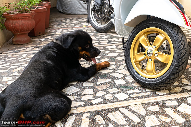 My Silk White Ducati Multistrada 950 - One bike for many roads-b6.jpg