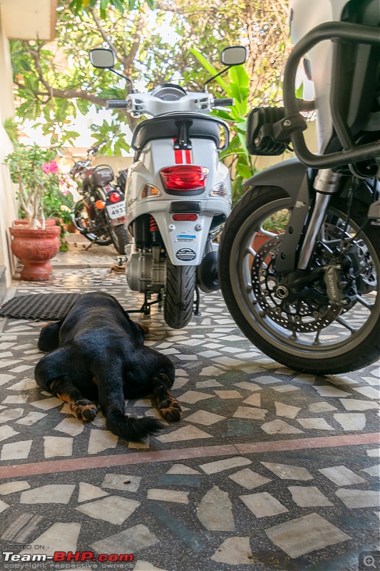 My Silk White Ducati Multistrada 950 - One bike for many roads-b3.jpg