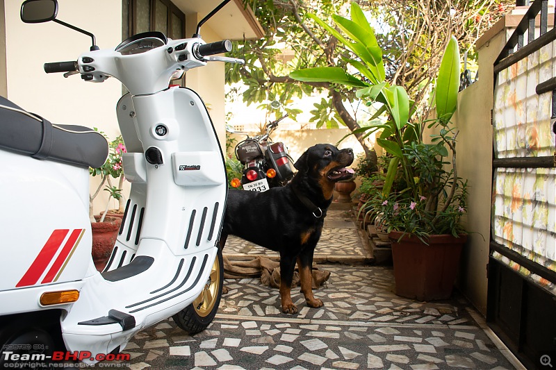 My Silk White Ducati Multistrada 950 - One bike for many roads-b4.jpg