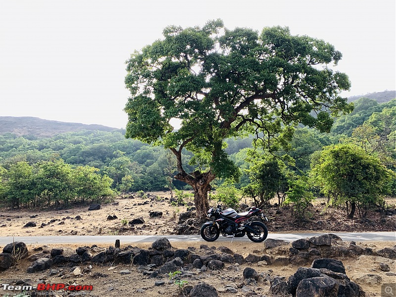 My 2020 Triumph Street Triple R BS6 Review | EDIT: 22,000 km up & sold-82887c56c46b4f5fbd7cb1b4a9c45338.jpeg