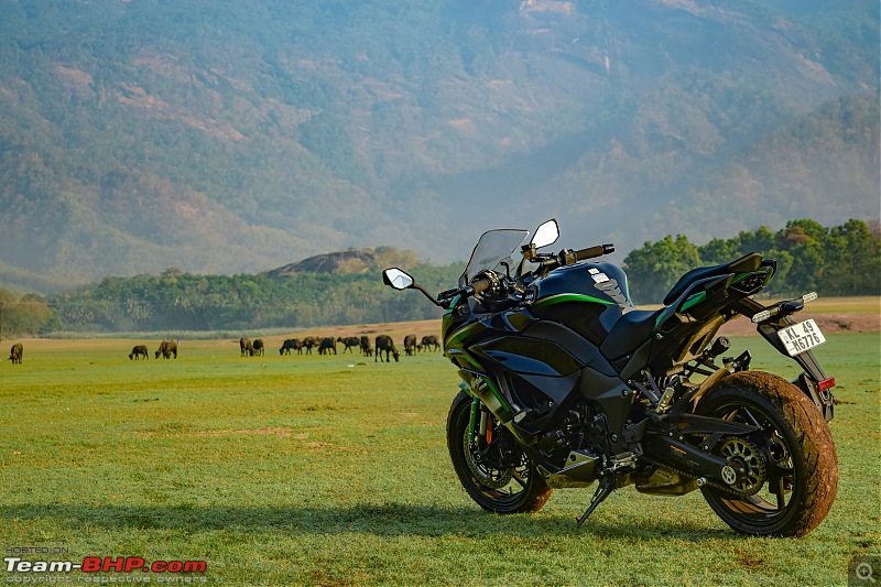 My life & times with a Kawasaki | 2020 Ninja 1000SX Ownership Review-dsc_0282.jpg