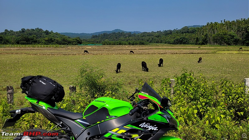Miss.isle : My Kawasaki Ninja ZX-10R | 30,000 km update-20220429_135927.jpg