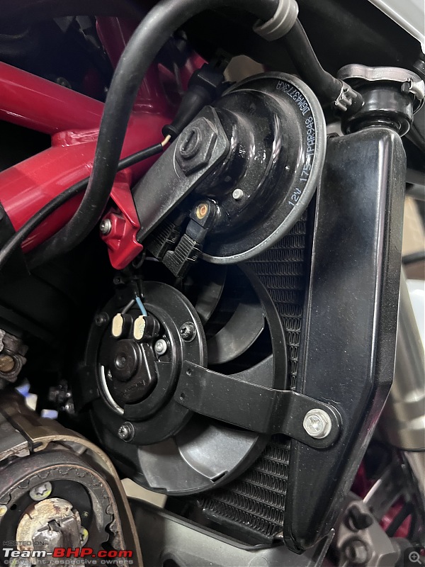 Ducati 848 EVO Corse Review | Story of Bianca-c15758506c2d449a99ba9e8110d6fa8c.jpeg