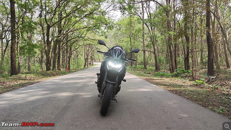 Contemplating on the Kawasaki Z900, but is it the right choice?-whatsapp-image-20230619-17.31.56.jpg
