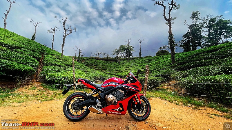 My Journey  - The Honda CBR650R-eee4ce1d580747ae9b9d75e56384c24f.jpg