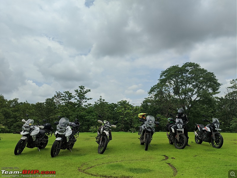 My Pre-Owned Honda Africa Twin Adventure Sports | Adv Reloaded | Cruising forward in time-tiger-lockdown-random.jpg
