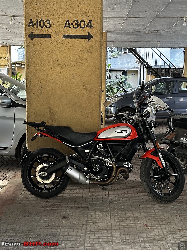 My Atomic Tangerine Scrambler 803  Raw, Real, Easy and Unapologetically Fun!-img_3886.jpeg