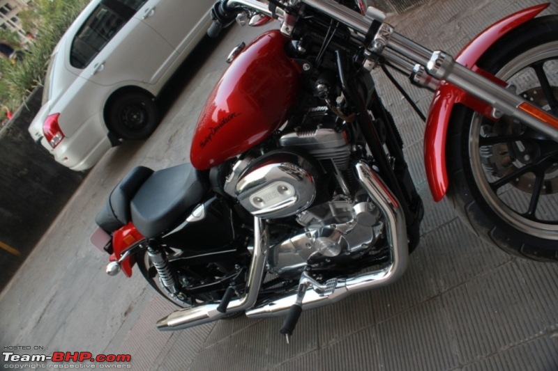 Harley Davidson SuperLow to Super Glide Custom and now the Fat Boy-img_6219.jpg