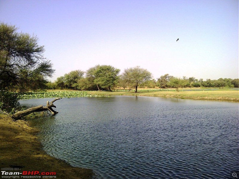 The Ahmedabad Team-BHP meets thread-destination.jpg