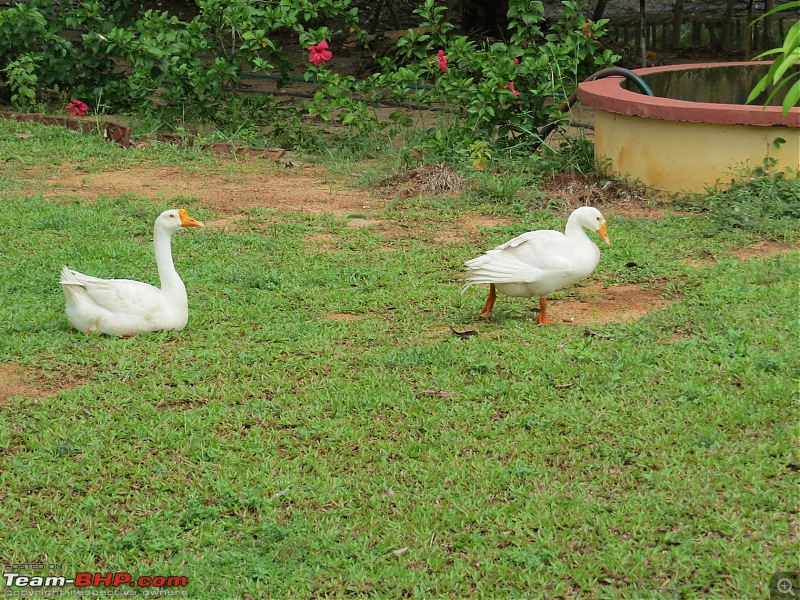 Quick mini-meet(s) in Kochi (Cochin)-img_0906.jpg